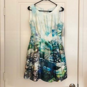 Zara marine life dress